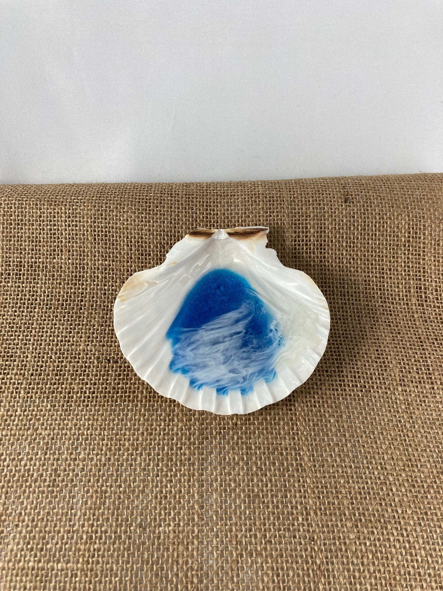 Basic Beaches Collective Large Ocean Resin Scallop Shell Jewelry Trinket Dish Large Ocean Resin Scallop Shell Jewelry Trinket Dish