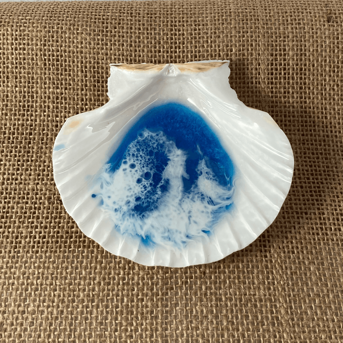 Basic Beaches Collective Large Ocean Resin Scallop Shell Jewelry Trinket Dish Large Ocean Resin Scallop Shell Jewelry Trinket Dish