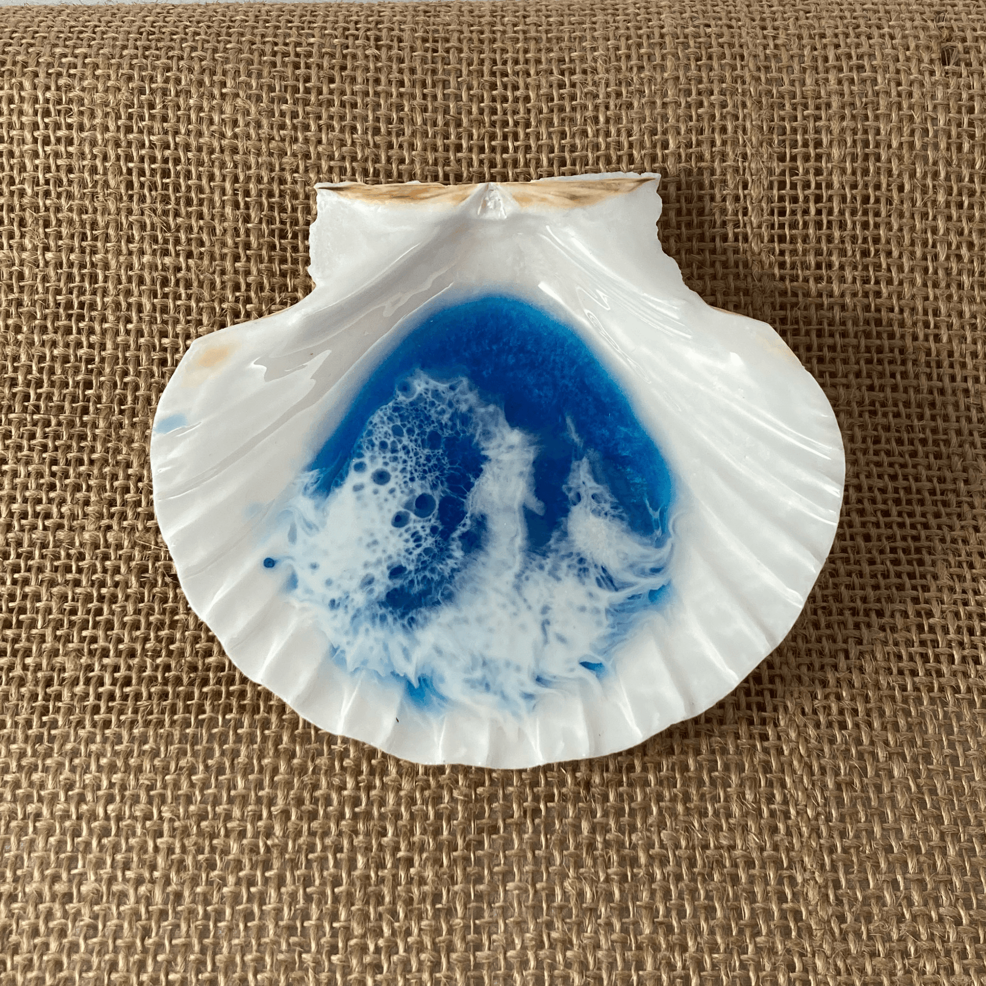 Basic Beaches Collective Large Ocean Resin Scallop Shell Jewelry Trinket Dish Large Ocean Resin Scallop Shell Jewelry Trinket Dish