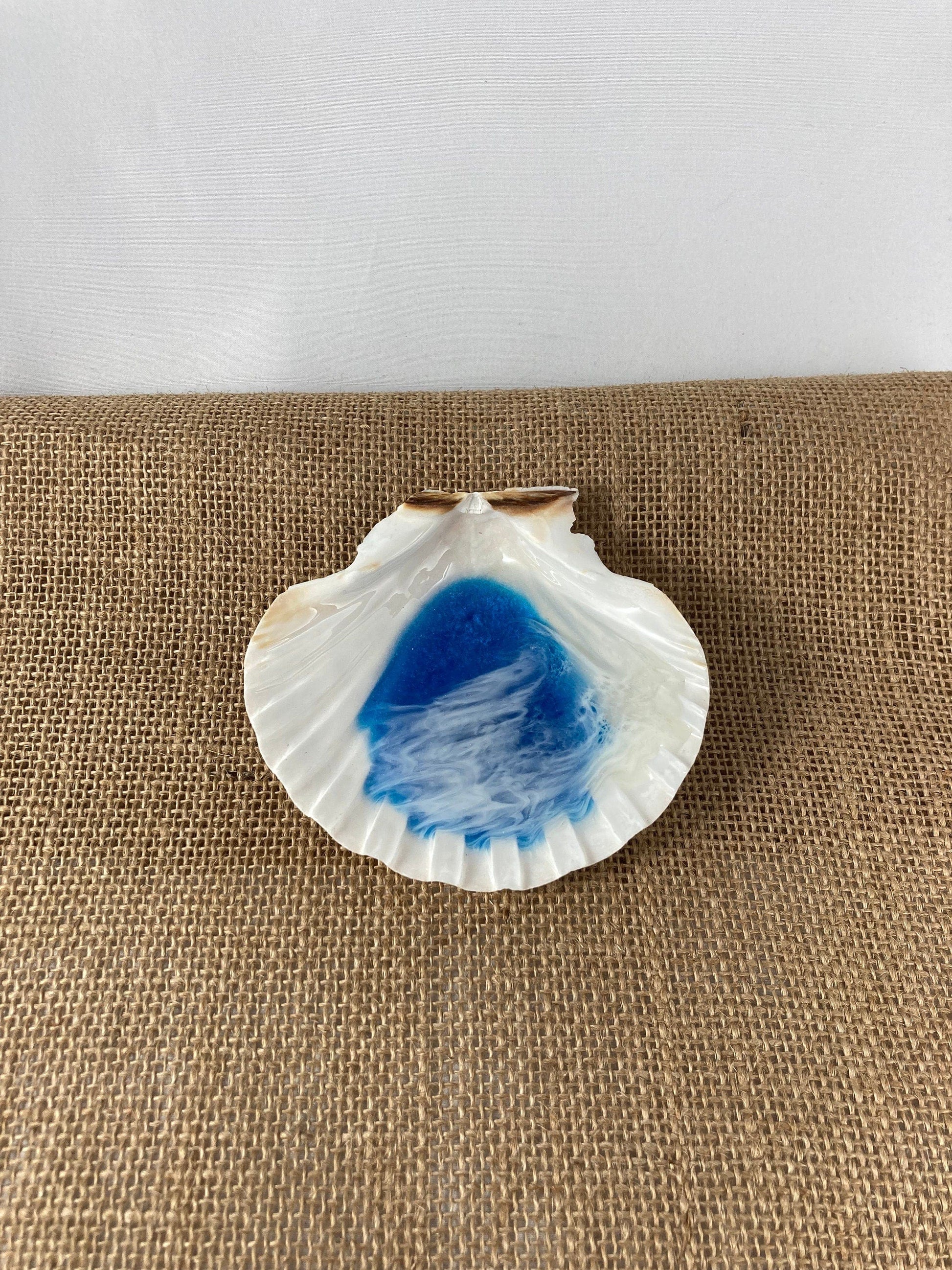 Basic Beaches Collective Large Ocean Resin Scallop Shell Jewelry Trinket Dish Large Ocean Resin Scallop Shell Jewelry Trinket Dish