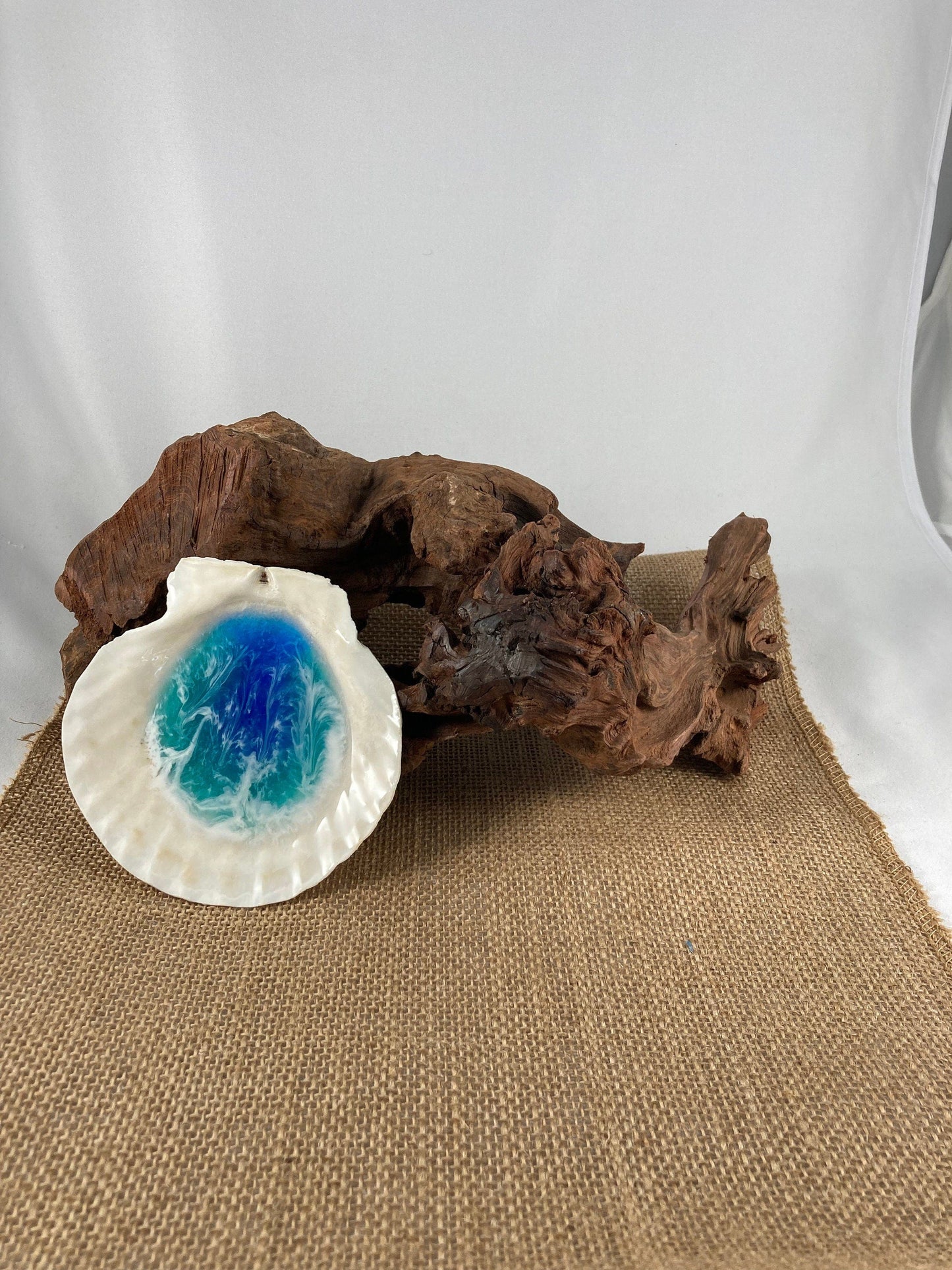Basic Beaches Collective Large Ocean Resin Scallop Shell Jewelry Trinket Dish Large Ocean Resin Scallop Shell Jewelry Trinket Dish