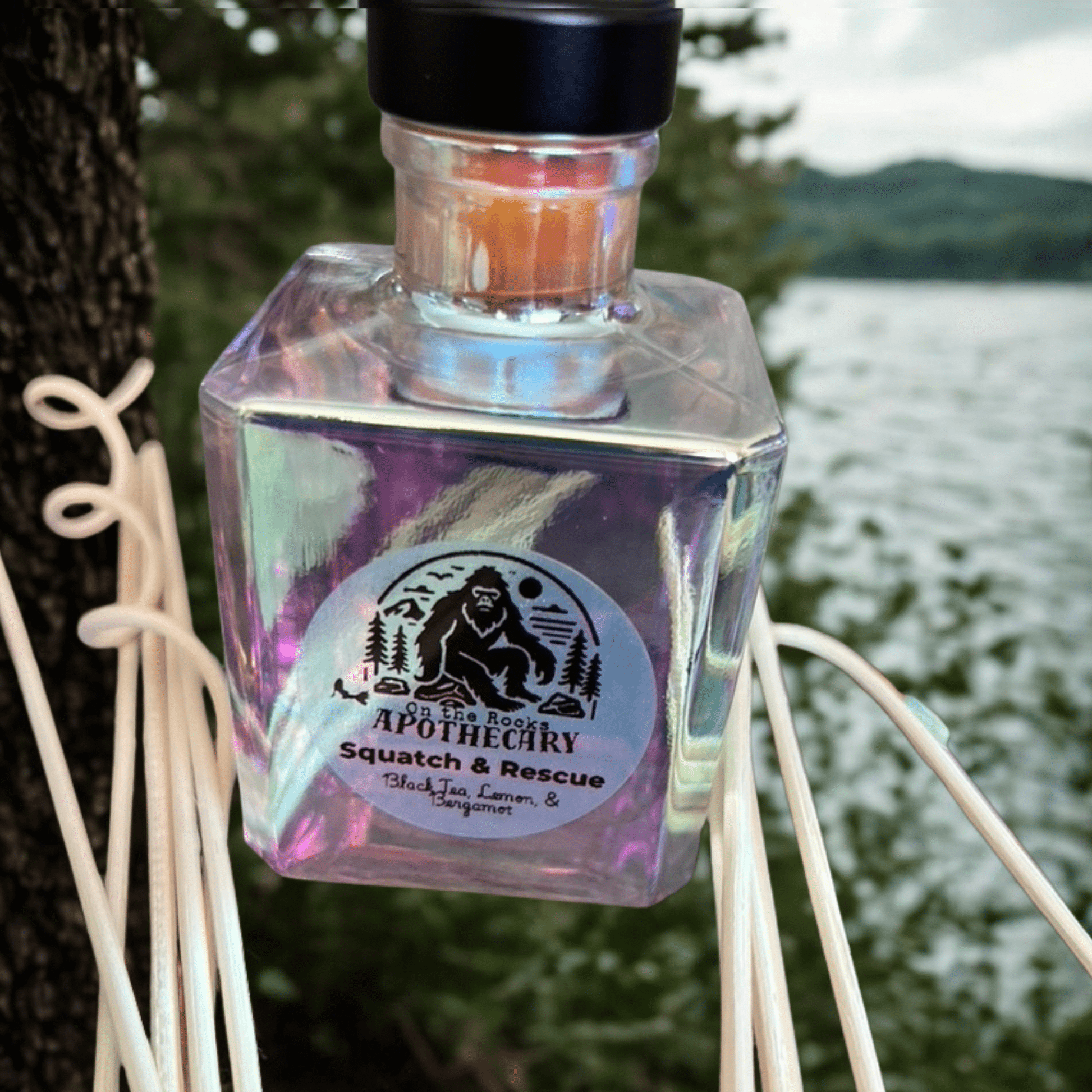 On The Rocks Apothecary reed diffuser Salty Beaches / 8oz Spray Bottle Reed Diffusers Reed Diffusers