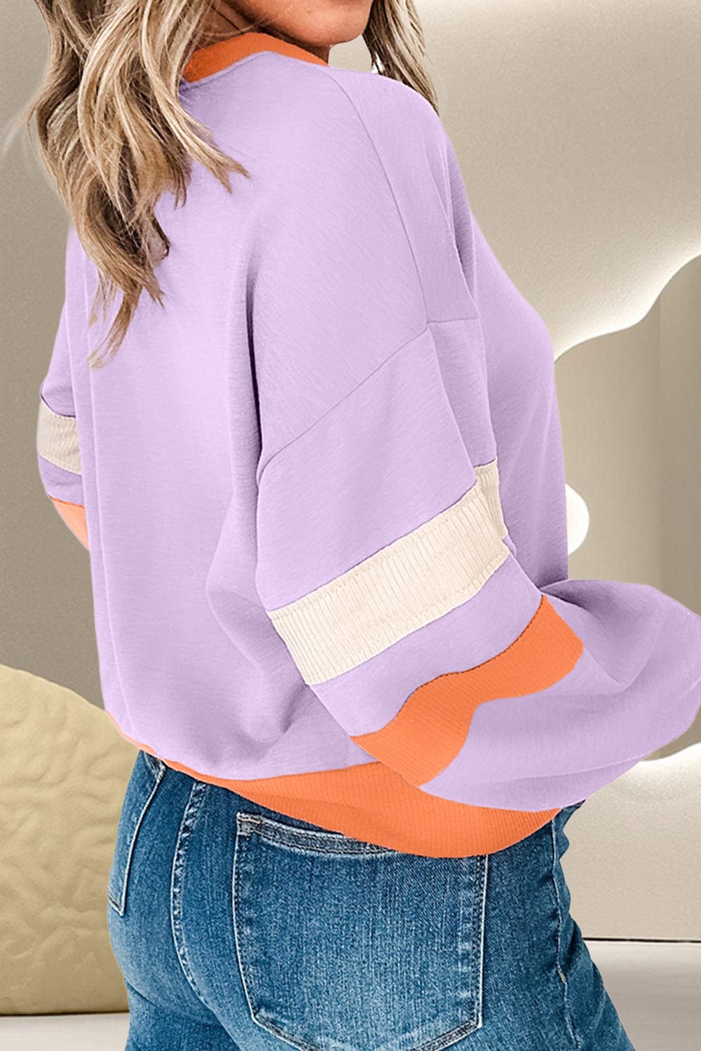Trendsi Fall Color Block Long Sleeve Sweatshirt Color Block Long Sleeve Sweatshirt
