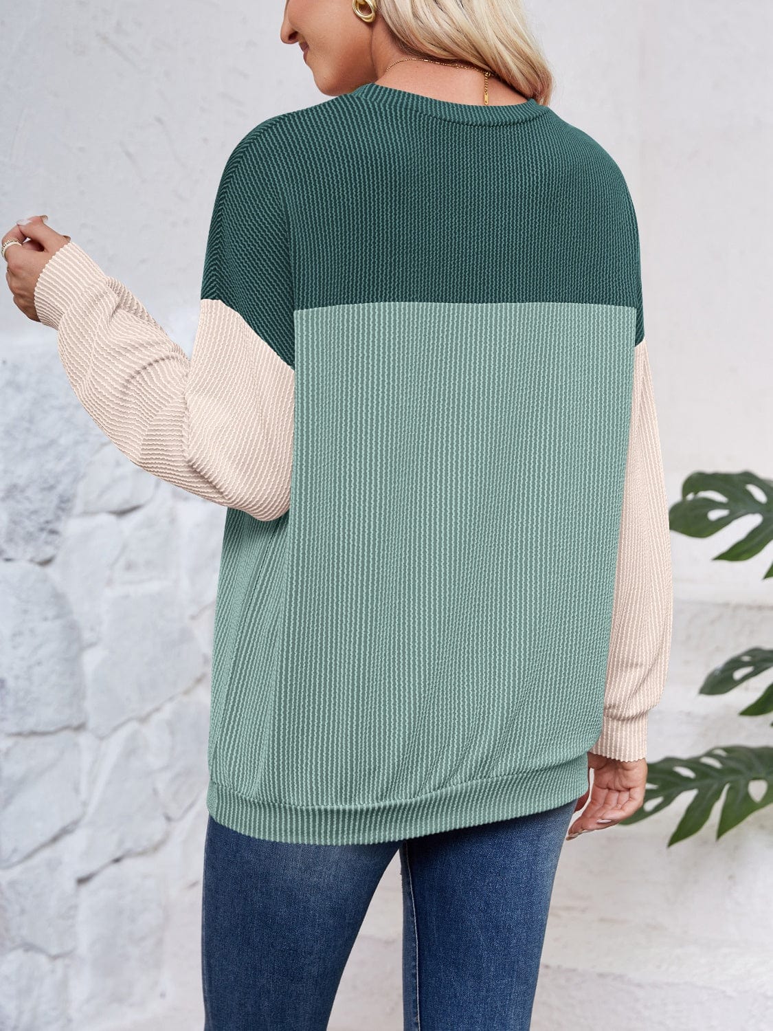 Trendsi Fall Color Block Round Neck Long Sleeve Sweatshirt Color Block Round Neck Long Sleeve Sweatshirt