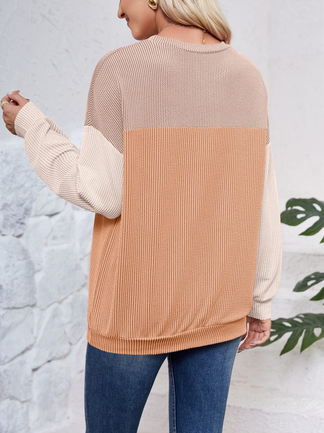 Trendsi Fall Color Block Round Neck Long Sleeve Sweatshirt Color Block Round Neck Long Sleeve Sweatshirt