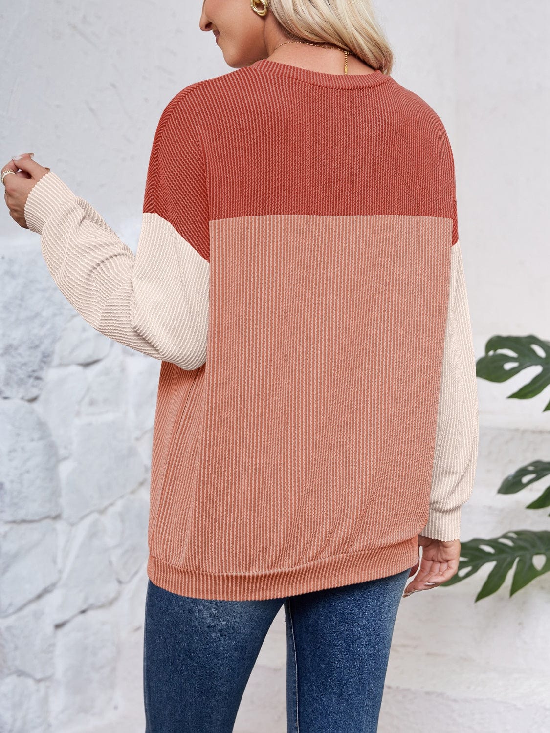 Trendsi Fall Color Block Round Neck Long Sleeve Sweatshirt Color Block Round Neck Long Sleeve Sweatshirt