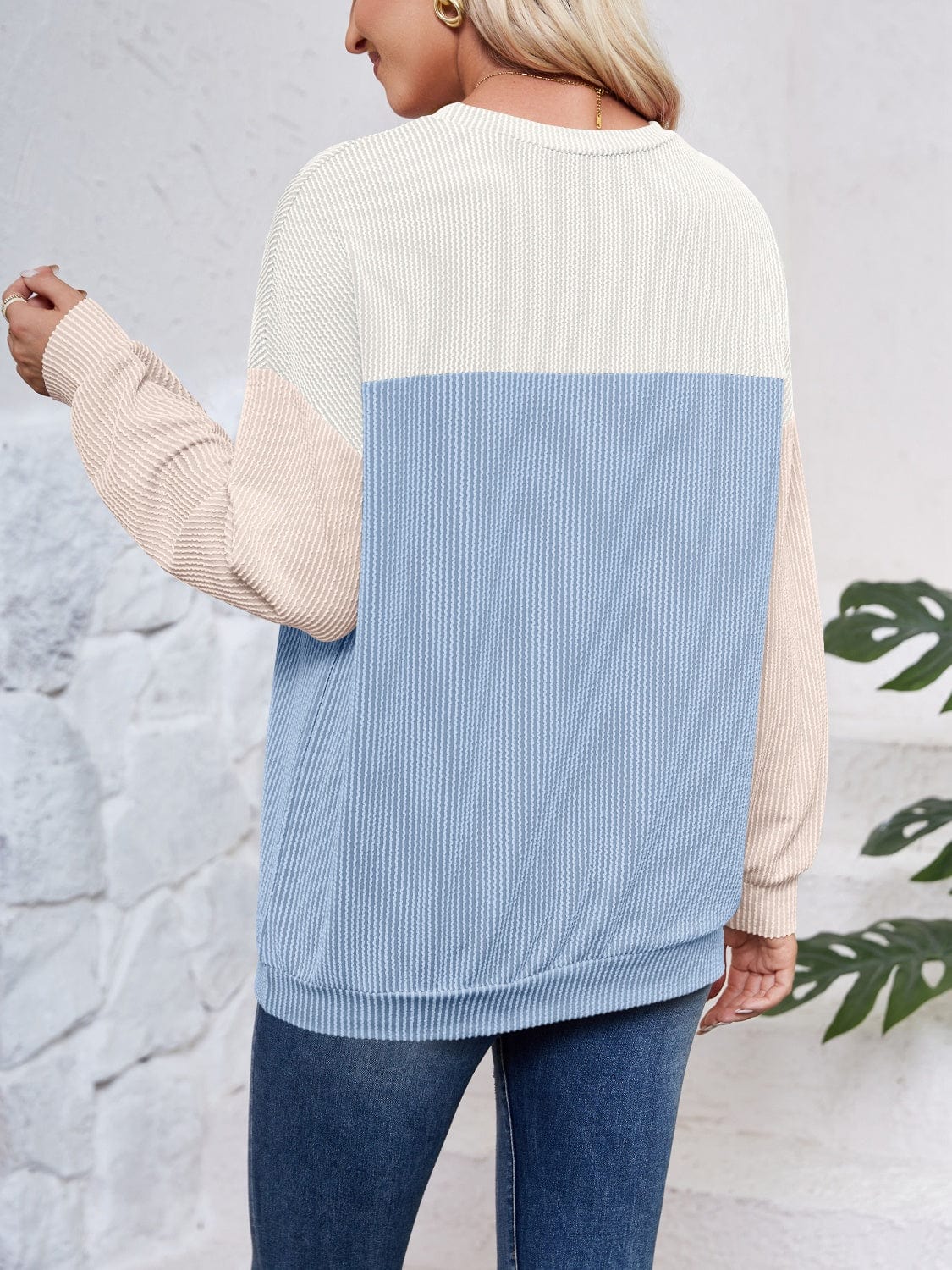 Trendsi Fall Color Block Round Neck Long Sleeve Sweatshirt Color Block Round Neck Long Sleeve Sweatshirt