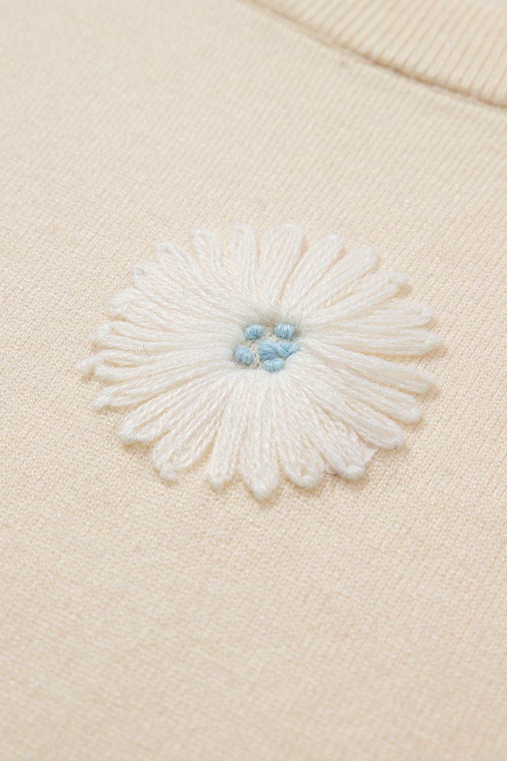 Trendsi Fall Daisy Round Neck Short Sleeve Knit Top Daisy Round Neck Short Sleeve Knit Top