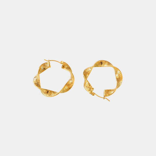 Trendsi Fall Gold / One Size Titanium Steel Twisted Earrings Titanium Steel Twisted Earrings